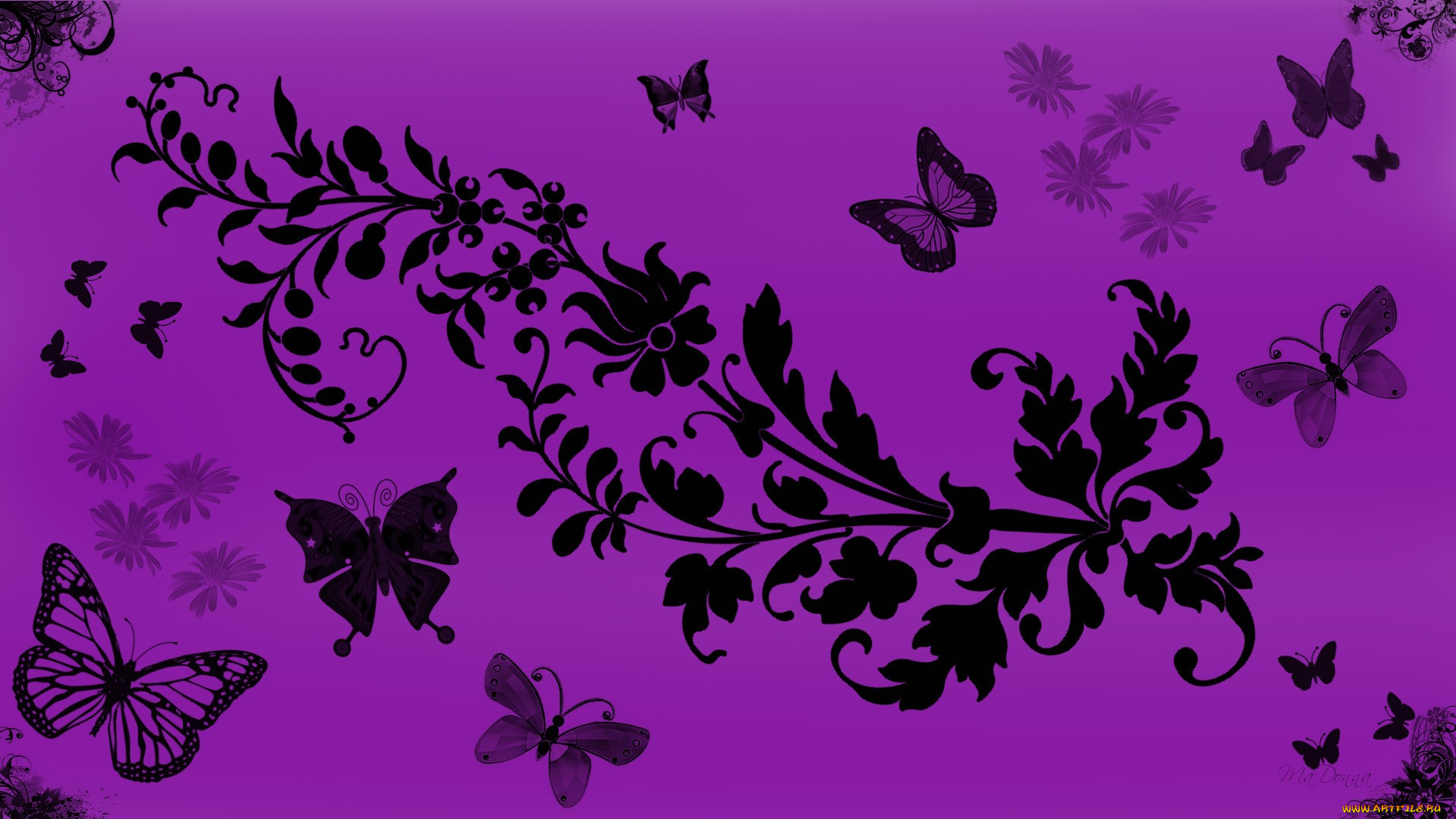 ��������� �������, ��������, ���